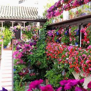  Appartement Puerta A La Mezquita Espagne